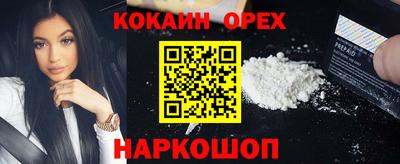 a pvp Славгород