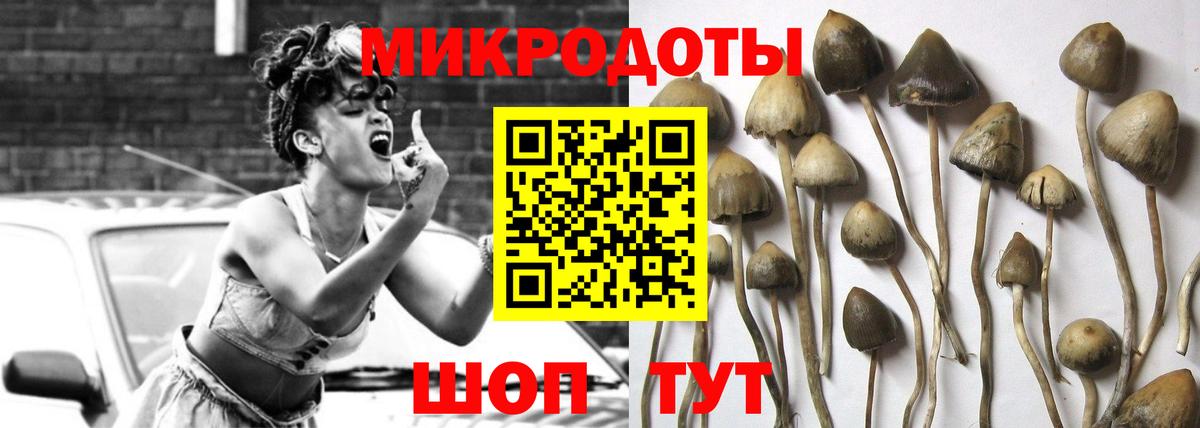 Галлюциногенные грибы мицелий  Вход с VPN  сколько стоит  Галлюциногенные грибы ЛСД  Павлово 